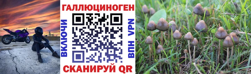 Псилоцибиновые грибы мицелий  Плёс 