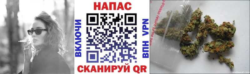 Бошки Шишки AK-47 магазин Плёс